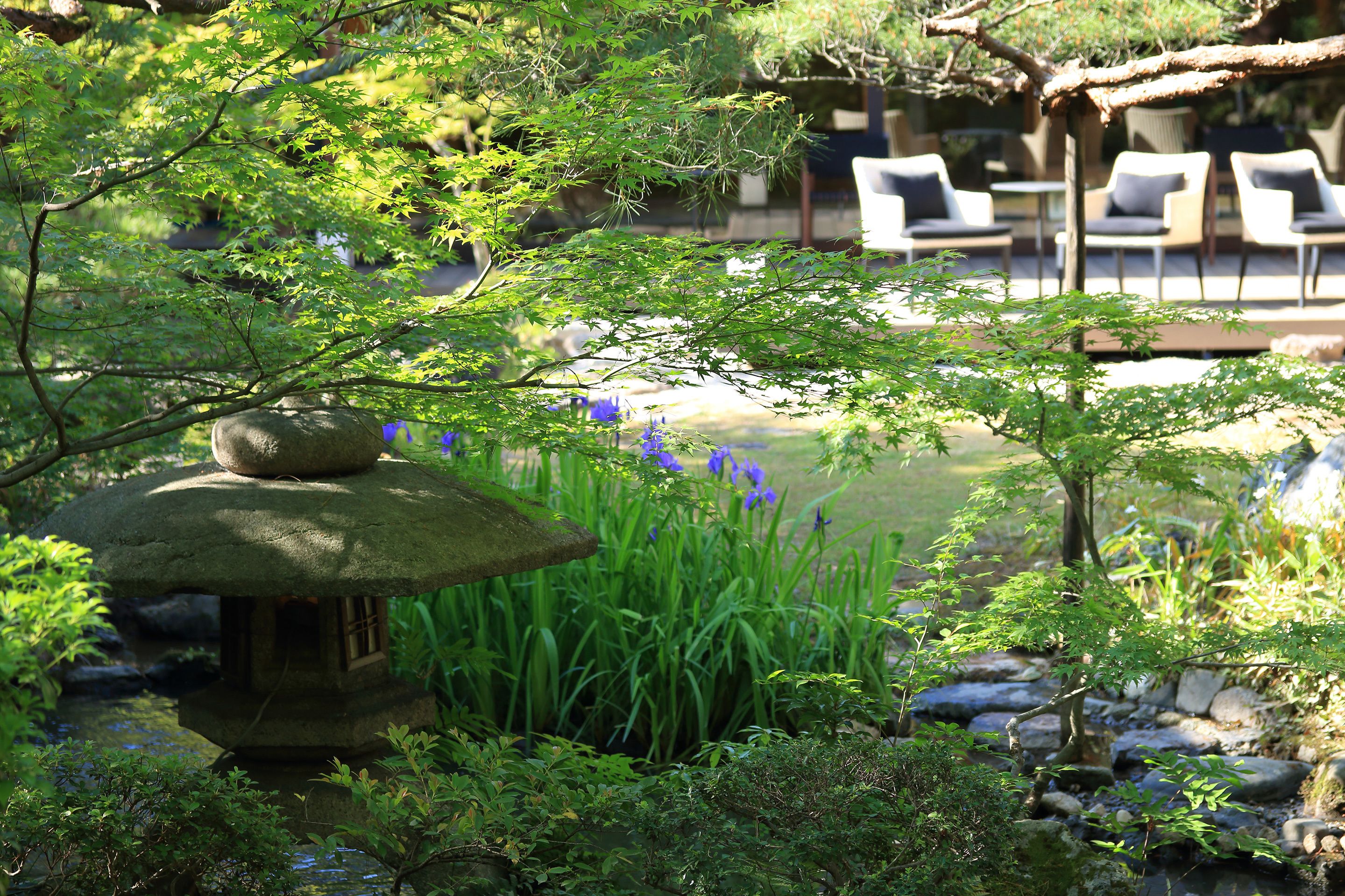 Un jardín japonés tradicional con un farol de piedra, un estanque de carpas y una zona de estar.