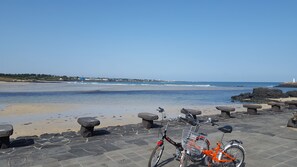 Bicycling - Jeju Herb Pension Oz (Seogwipo)