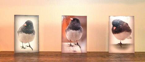 Three framed bird photographs on a wooden shelf.