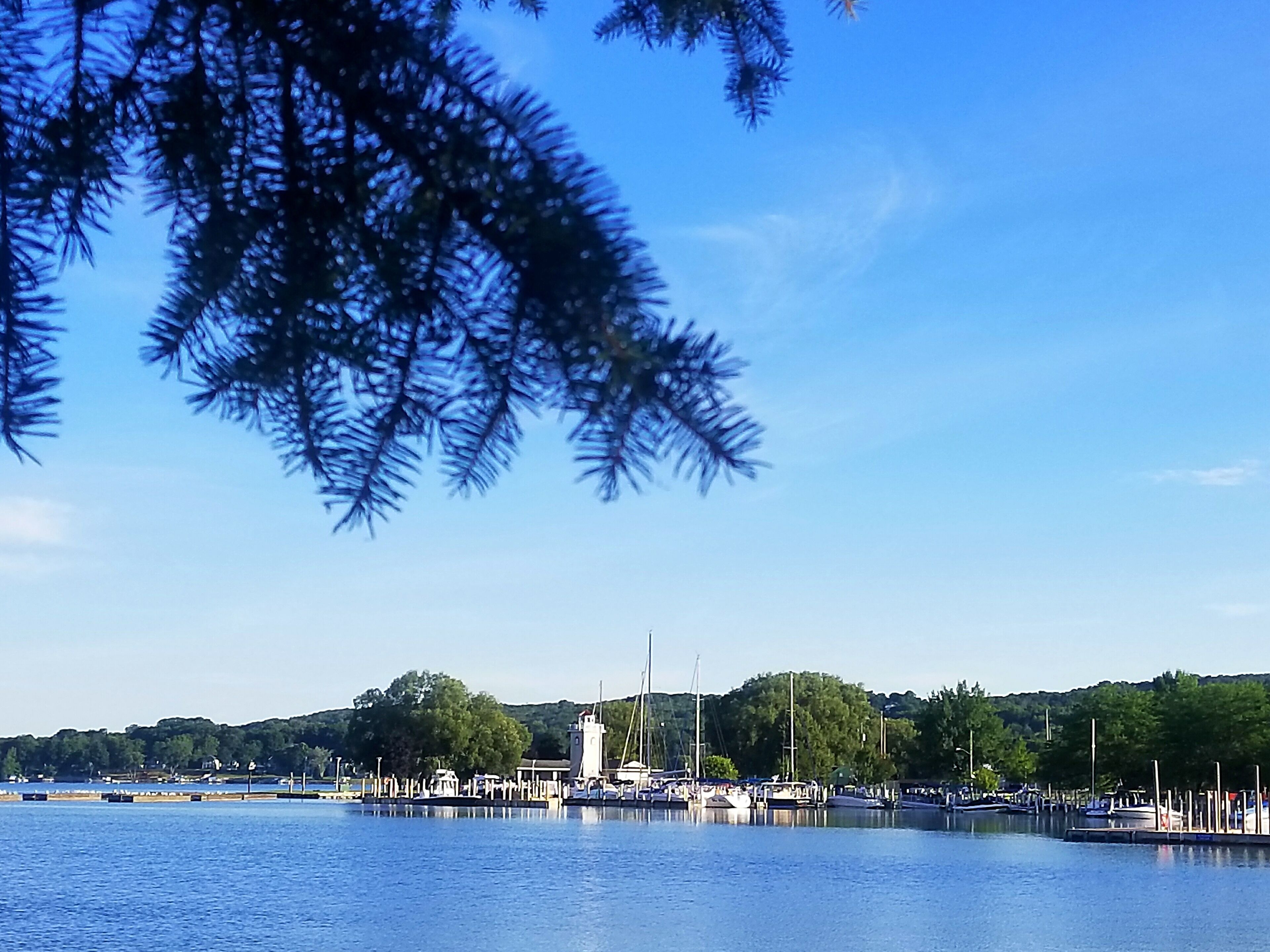 Un puerto deportivo con barcos amarrados, un faro y un cielo azul despejado.