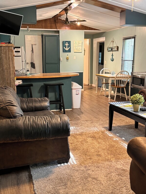 Smart TV, fireplace, DVD player, books