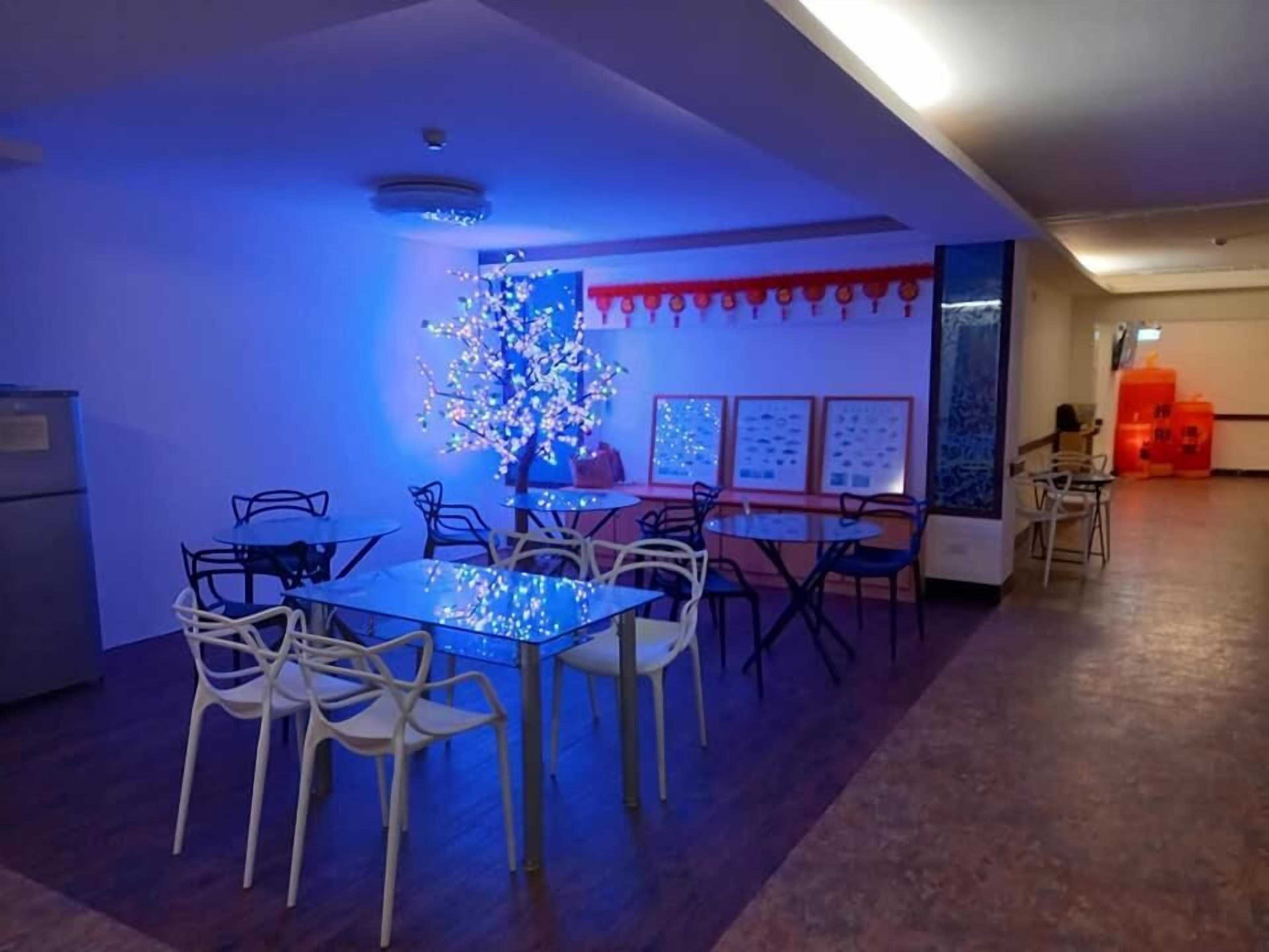 A dining area with round tables and chairs, a decorative tree, and framed pictures on the wall.