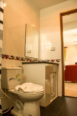 Shower, free toiletries, hair dryer, towels