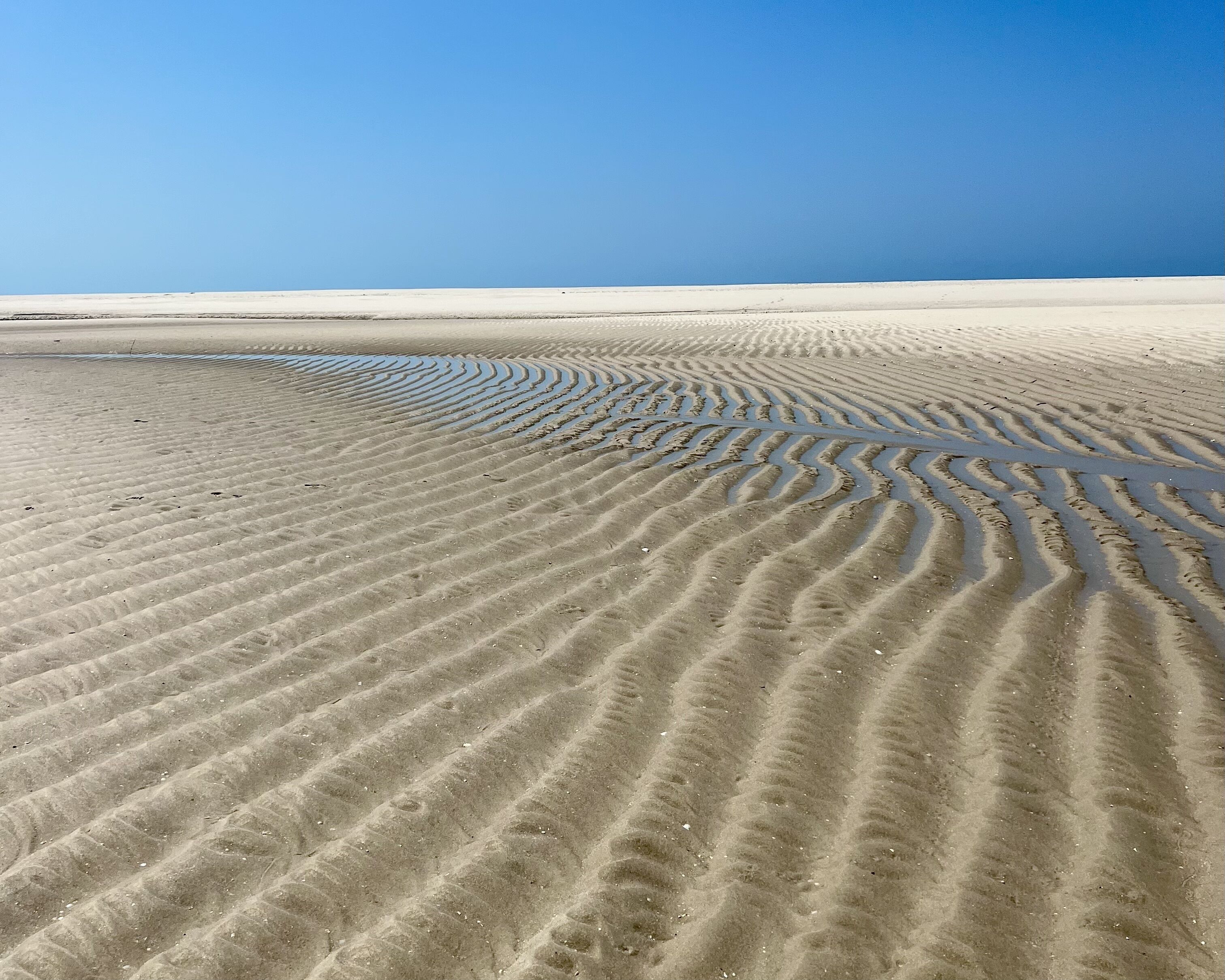 Une plage de sable où l’on peut voir des traces de pneus et des empreintes de pas.
