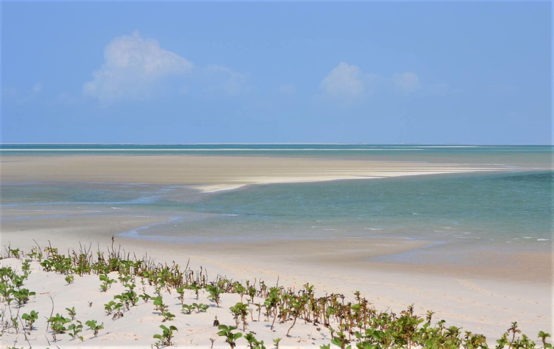 Una playa con agua cristalina y una orilla arenosa.