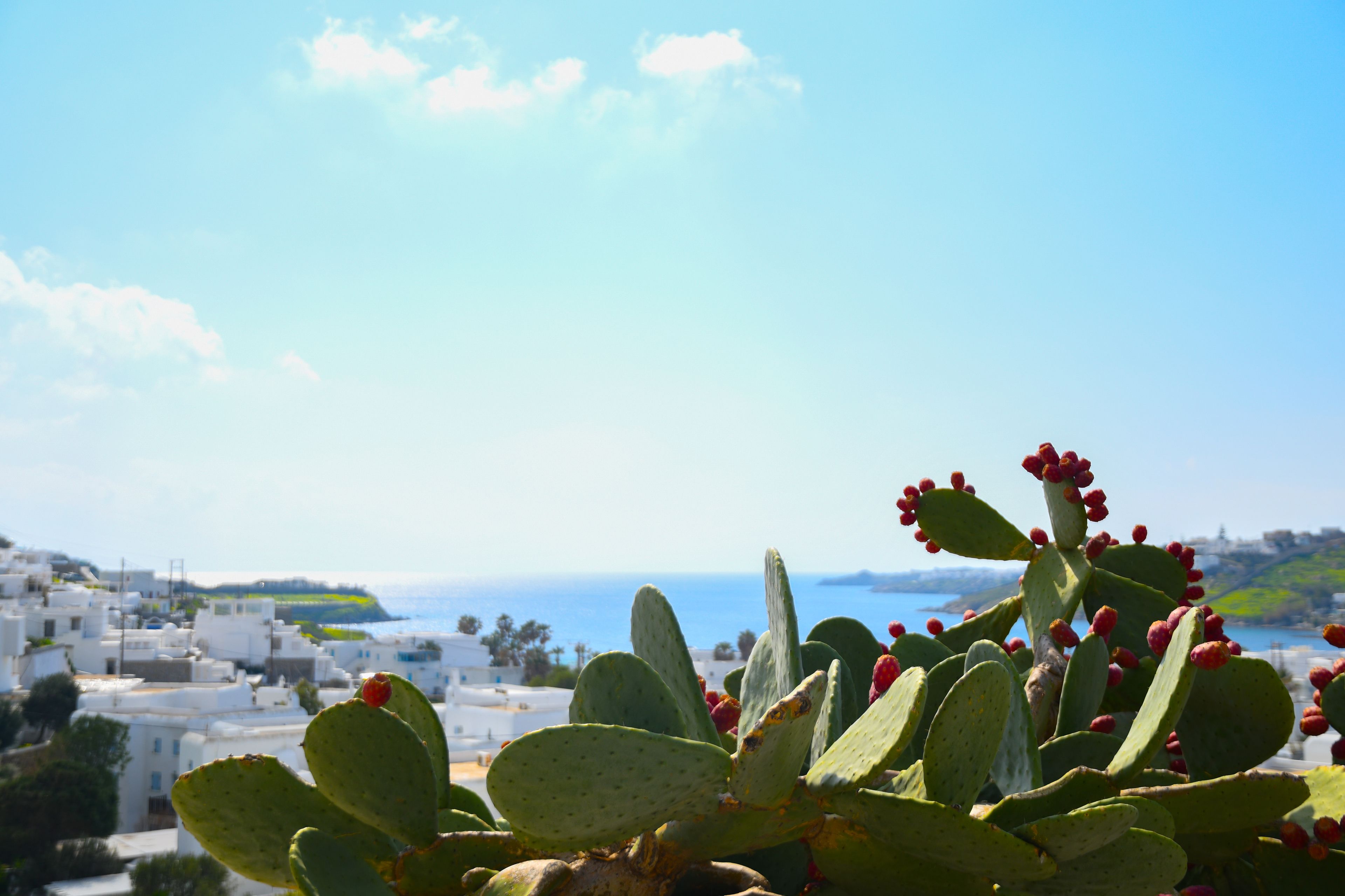 Foto - Amperian Mykonos Suites & Villas