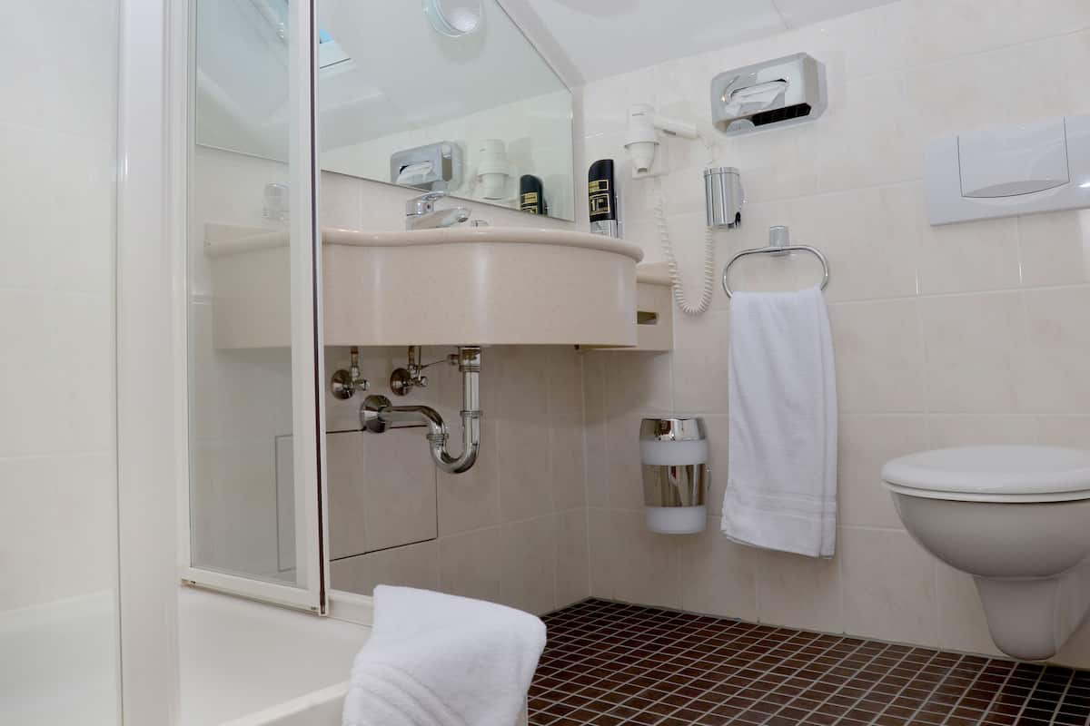 shower, free toiletries, hair dryer, towels