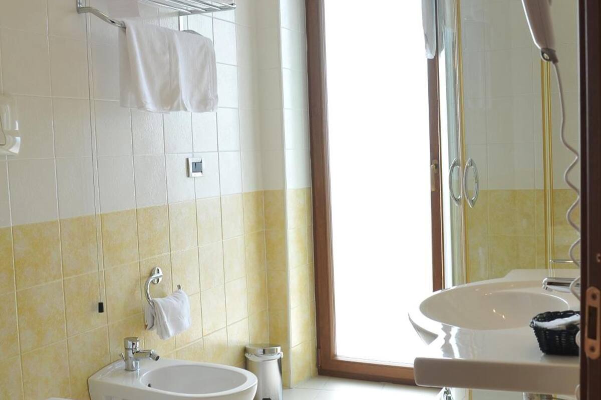 shower, free toiletries, hair dryer, bidet