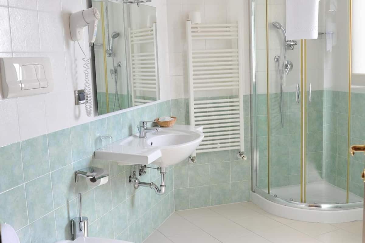 shower, free toiletries, hair dryer, bidet