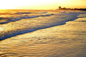 On the beach - Island House Beach Resort V18 (Siesta Key)