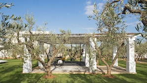 A covered outdoor area with a pergola, olive trees, and a stone bench. - Masseria Spesseto (Fasano)