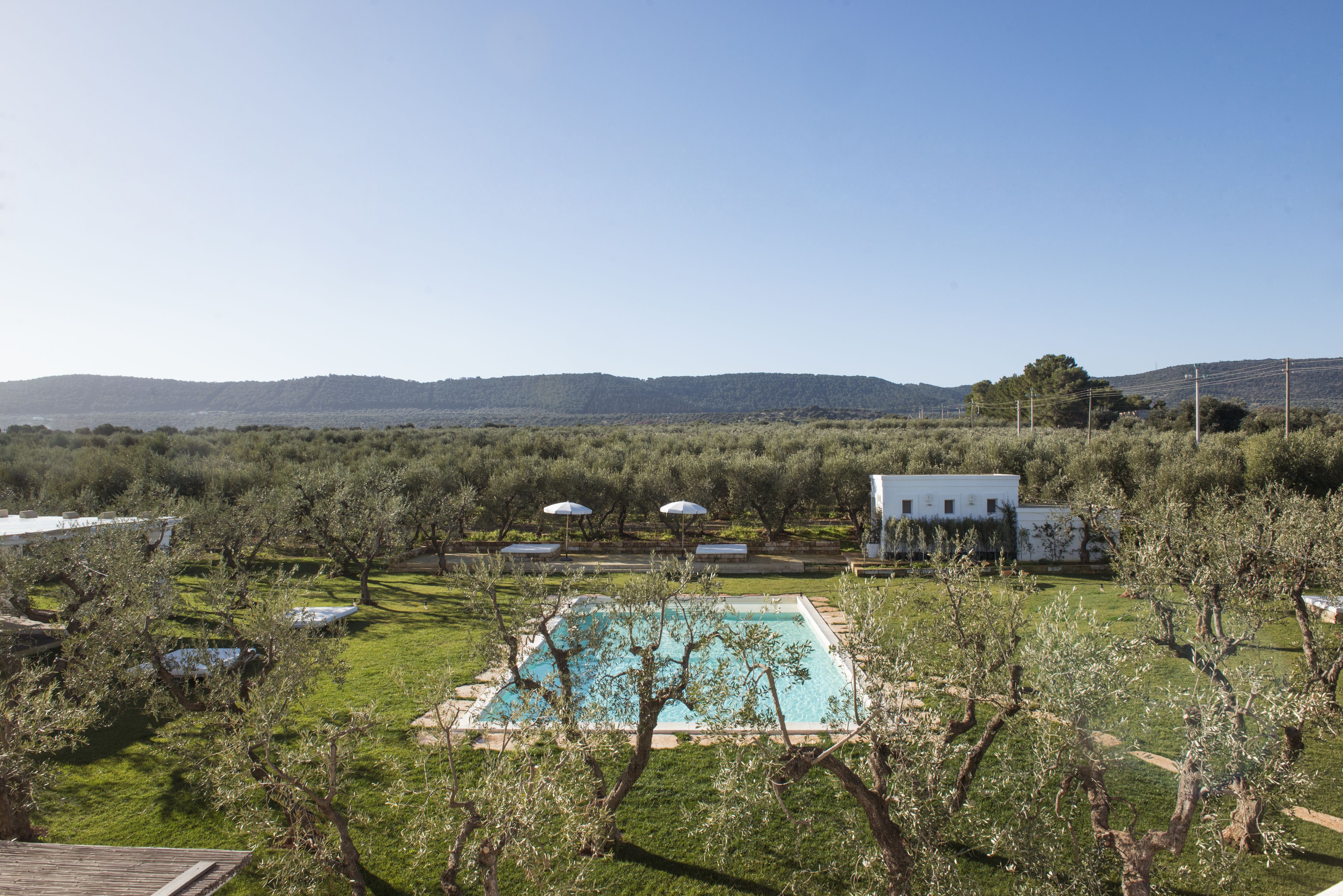 A pool surrounded by trees and a white building in a landscaped area with hills in the background.