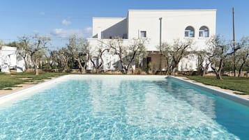 Outdoor pool, sun loungers
