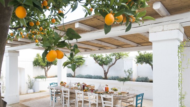 An outdoor dining area with a white table and chairs, surrounded by potted plants and trees. - Masseria Spesseto (Fasano)