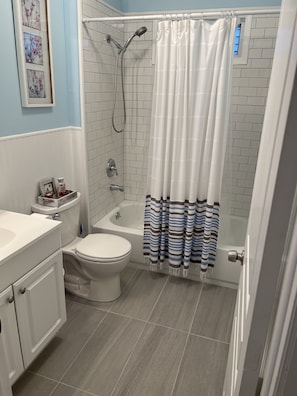 Combined shower/bathtub, hair dryer, toilet paper