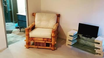 Flat-screen TV