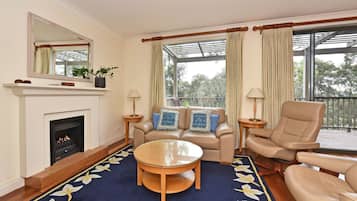 TV, fireplace, DVD player