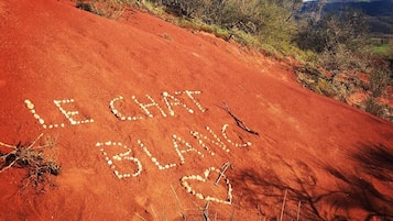 Un sendero de tierra roja con las palabras