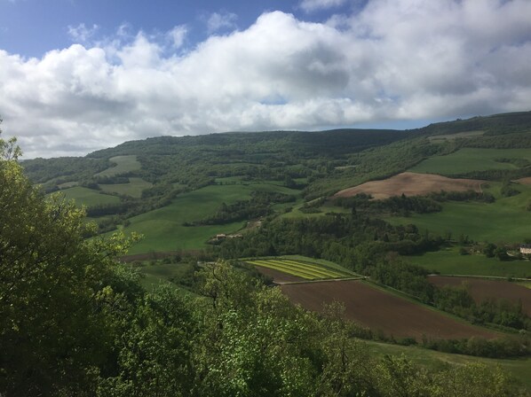 A panoramic view of a lush green valley with rolling hills and scattered trees. - Le Chat Blanc (Versols-et-Lapeyre)