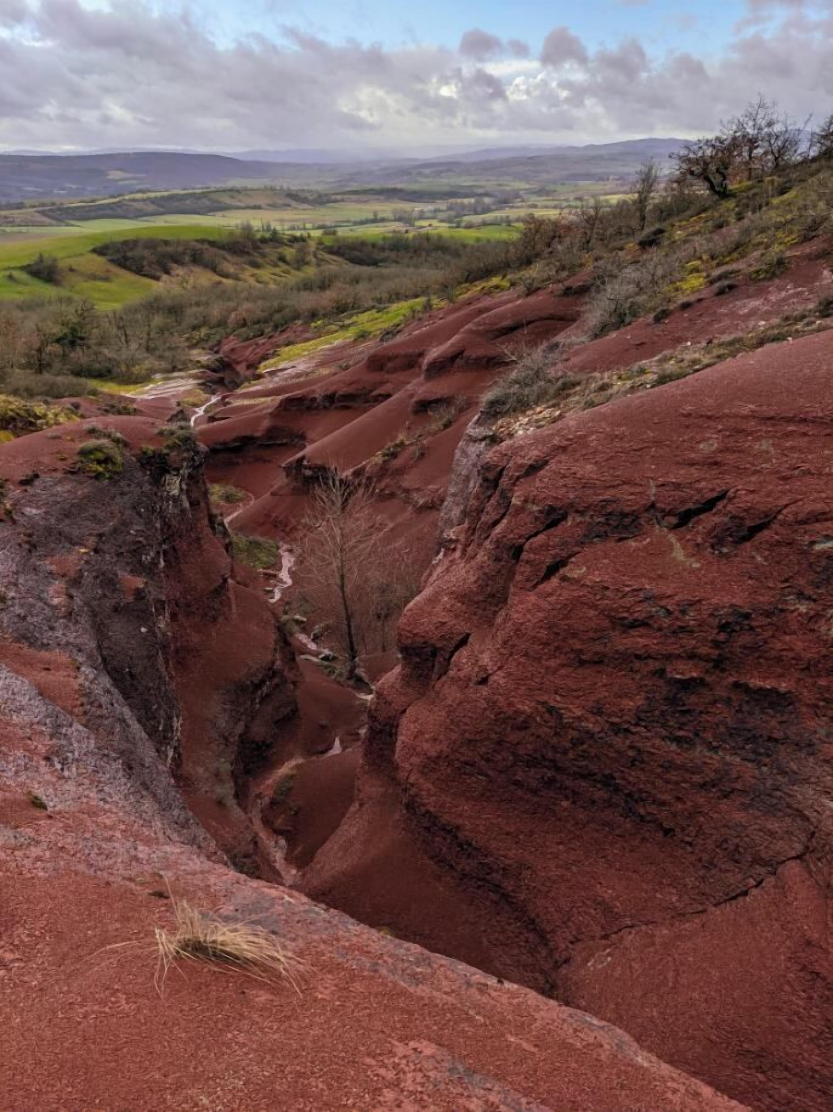 A red rock canyon with a narrow stream.