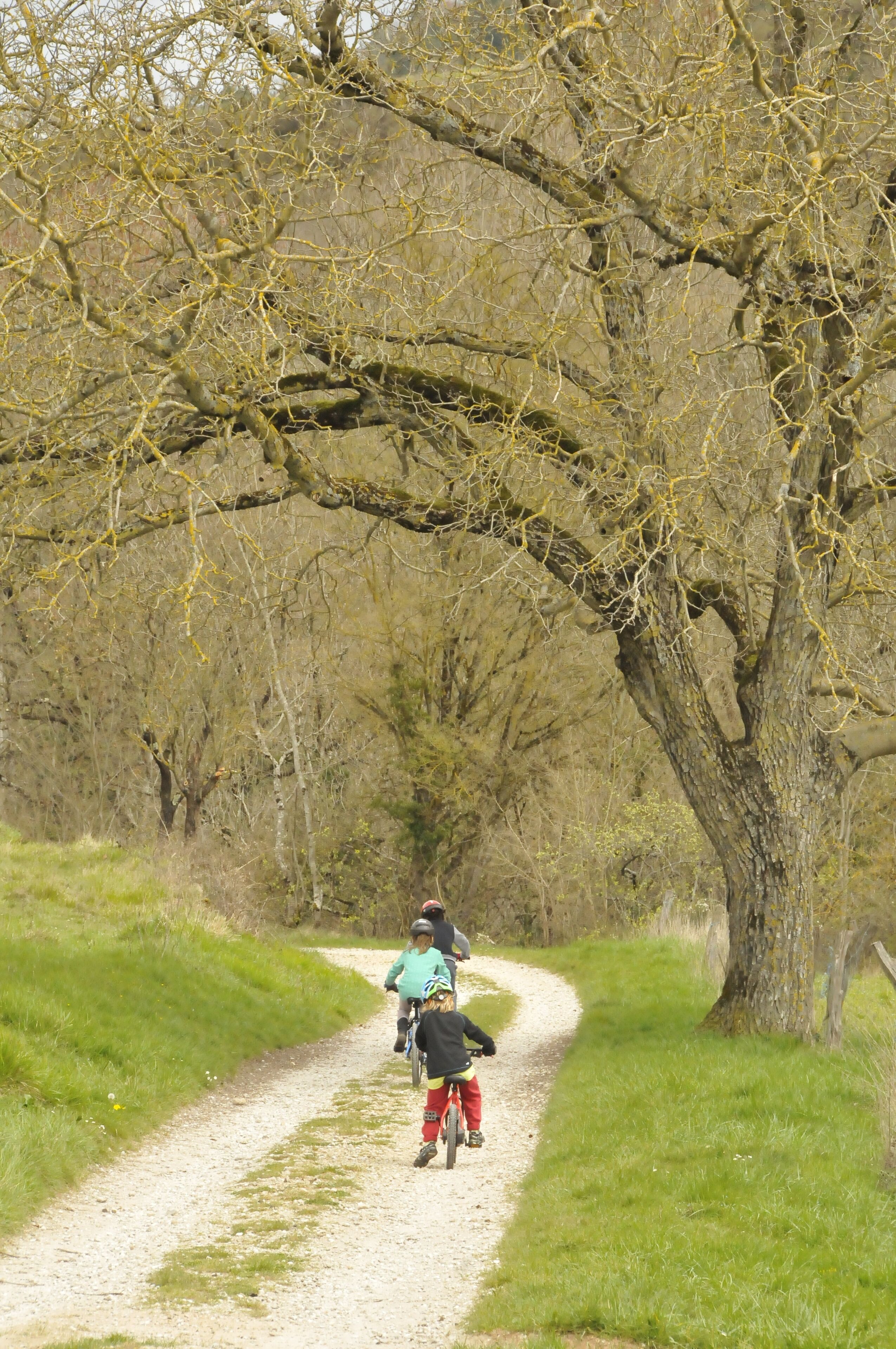 A dirt path with cyclists.