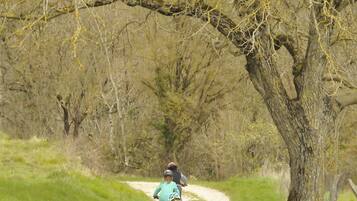 A dirt path with cyclists.
