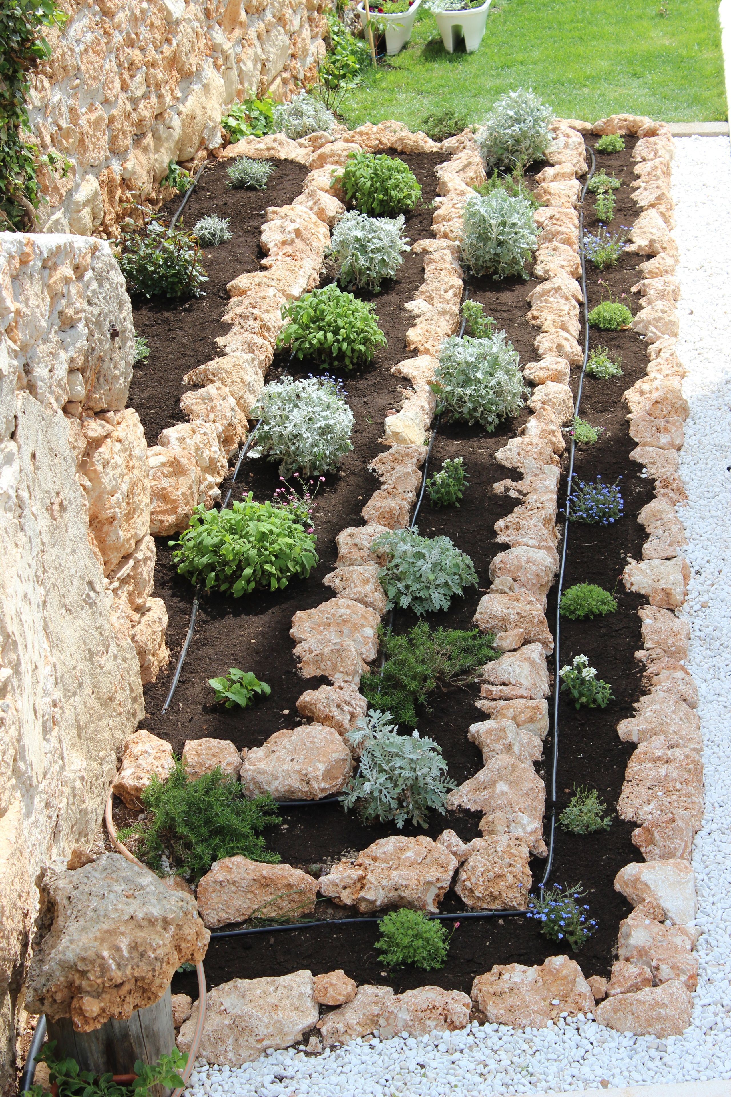 A garden bed with plants and a stone border.
