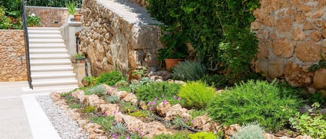 A stone staircase leading to a garden with various plants and a stone wall.
