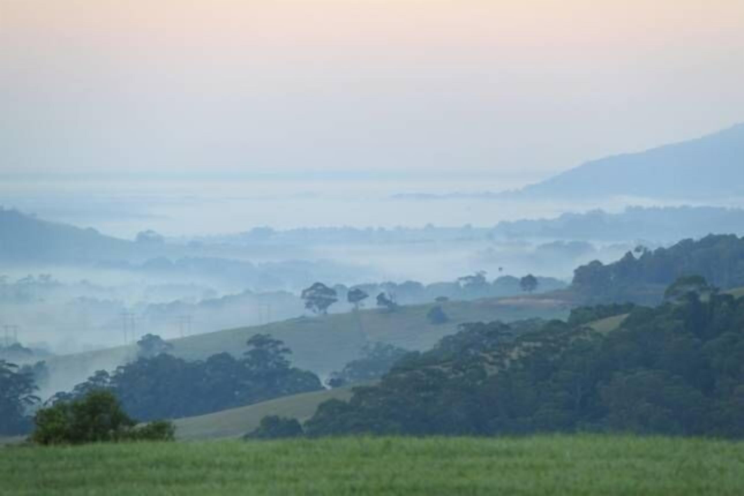 Un paisaje brumoso con colinas ondulantes y árboles dispersos.