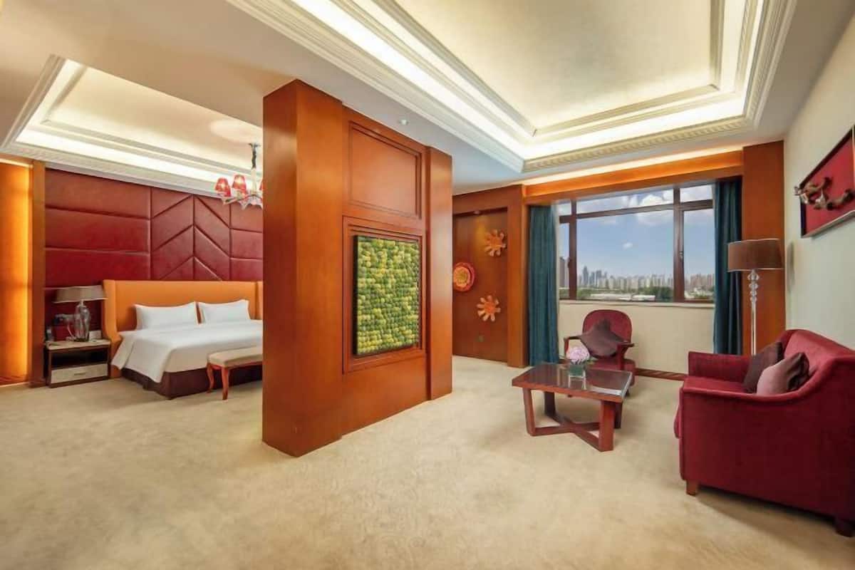 Minibar, odada kasa, masa, güneşlik/perde