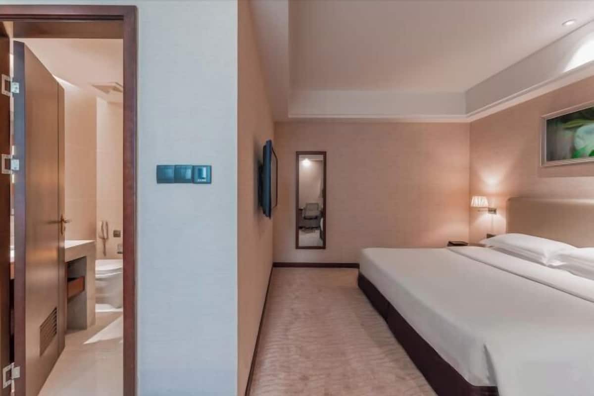 Minibar, odada kasa, masa, güneşlik/perde