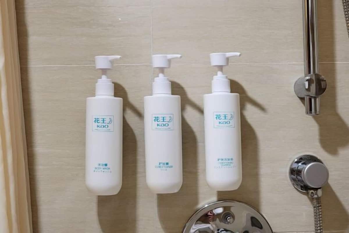 Duş, ücretsiz banyo/kozmetik ürünleri, saç kurutma makinesi, terlik