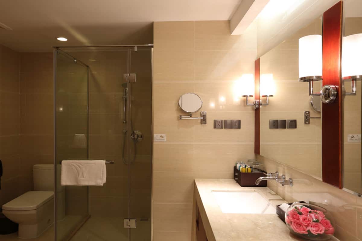 Duş, ücretsiz banyo/kozmetik ürünleri, saç kurutma makinesi, terlik