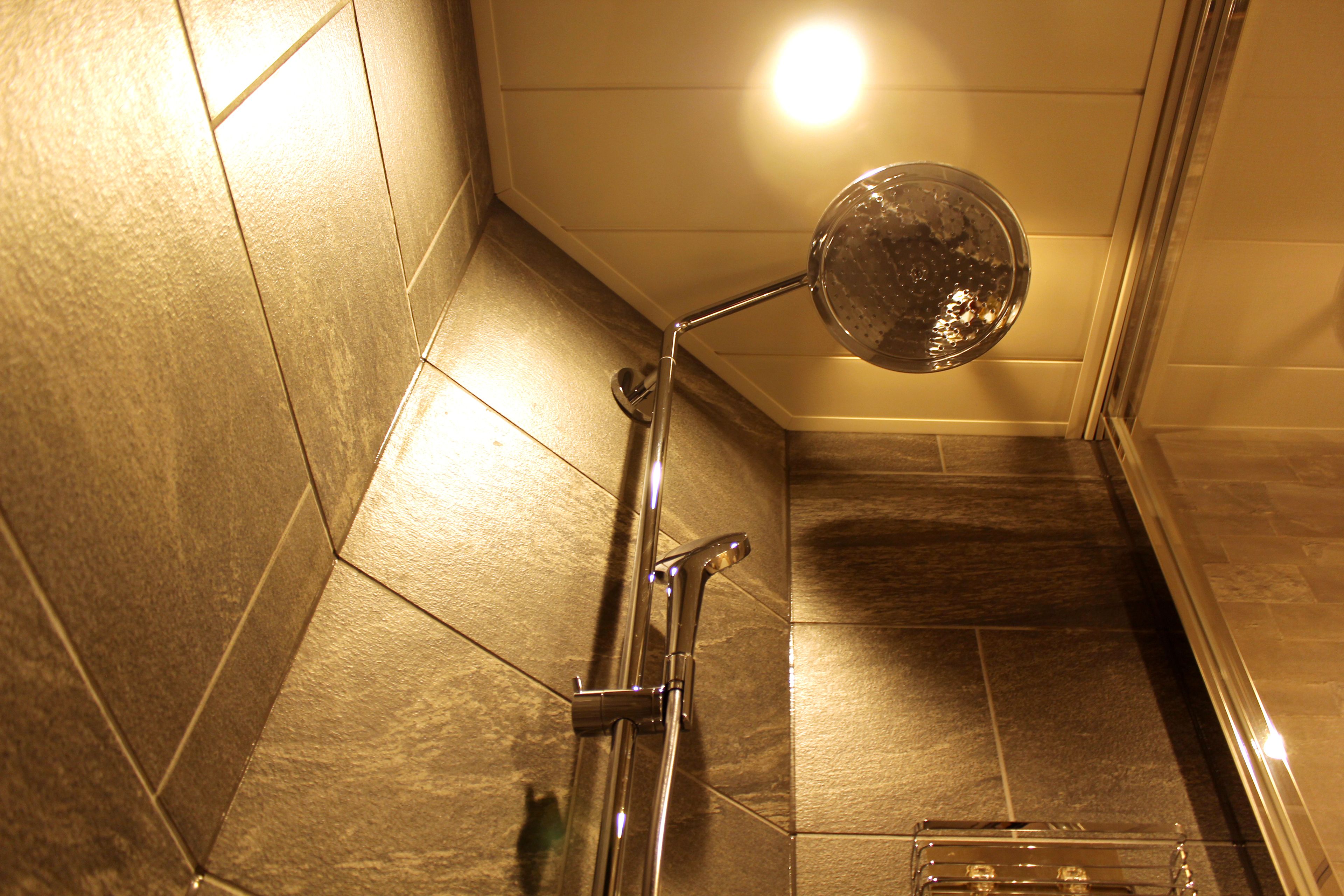 standard double room, 1 queen bed | bathroom shower