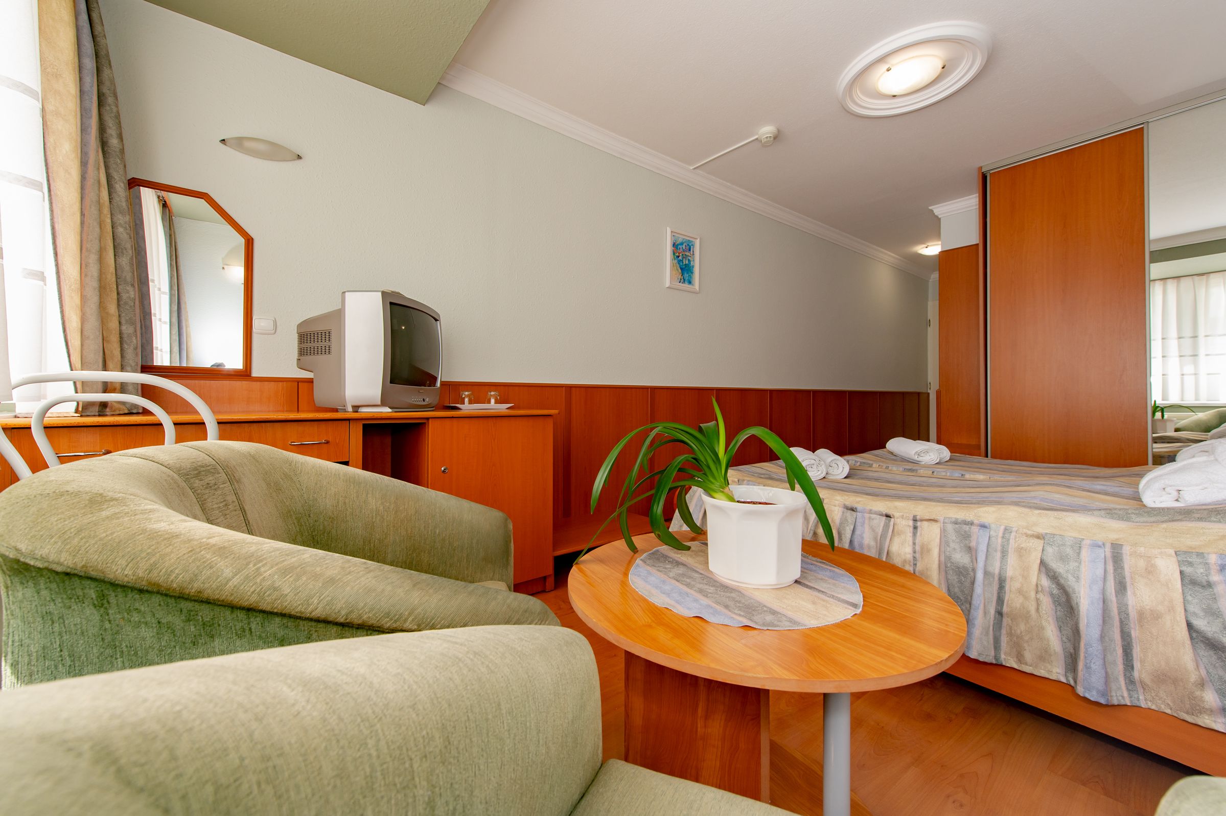 Une chambre d’hôtel avec un lit, un bureau, une chaise, une télévision et une plante en pot.