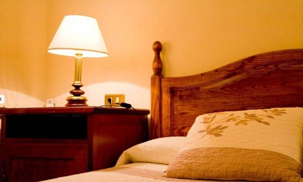 Double or Twin Room | Minibar, desk, iron/ironing board, free WiFi - Hostal las Coronas (Sos del Rey Catolico)