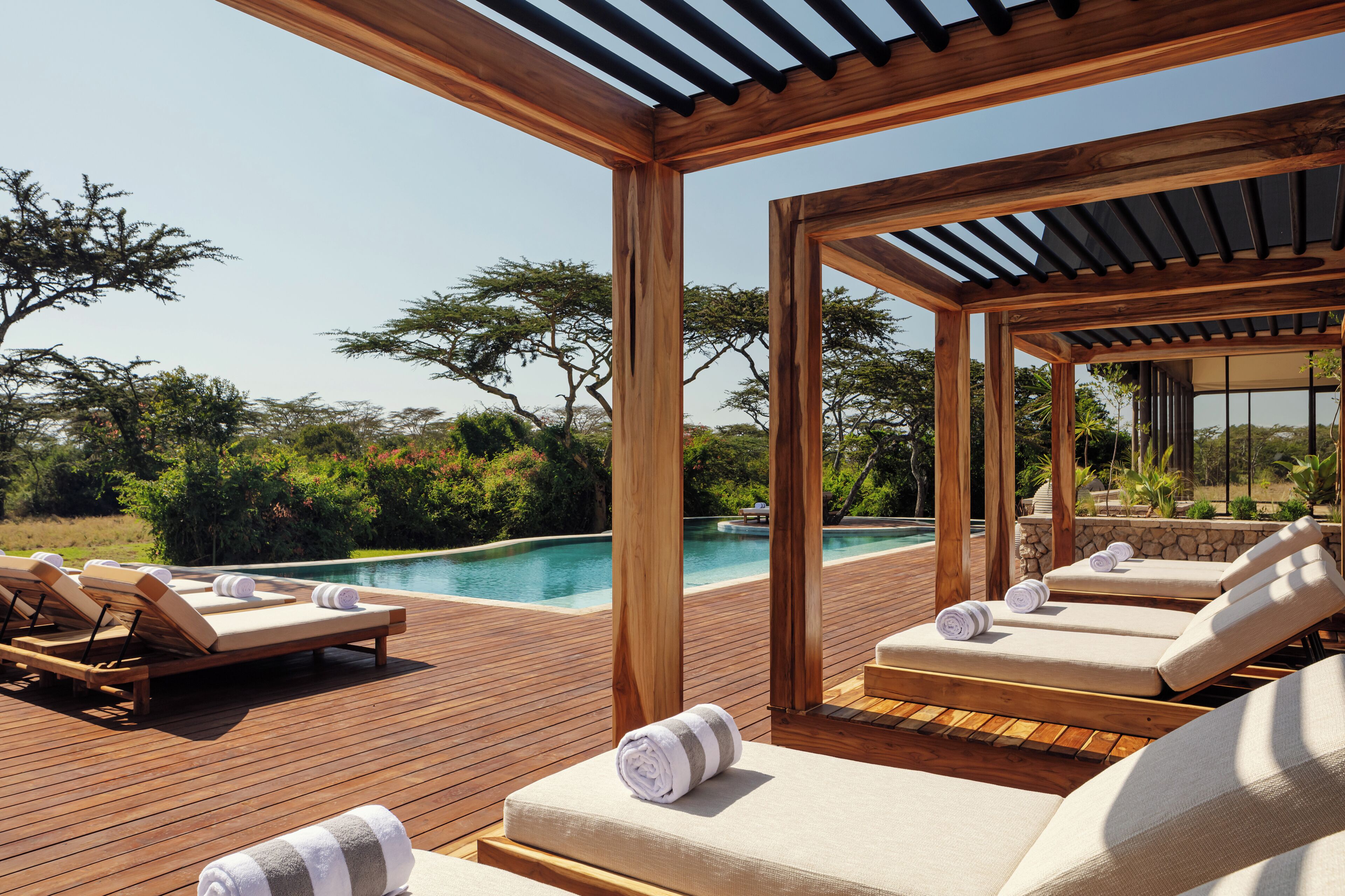 Outdoor pool, sun loungers
