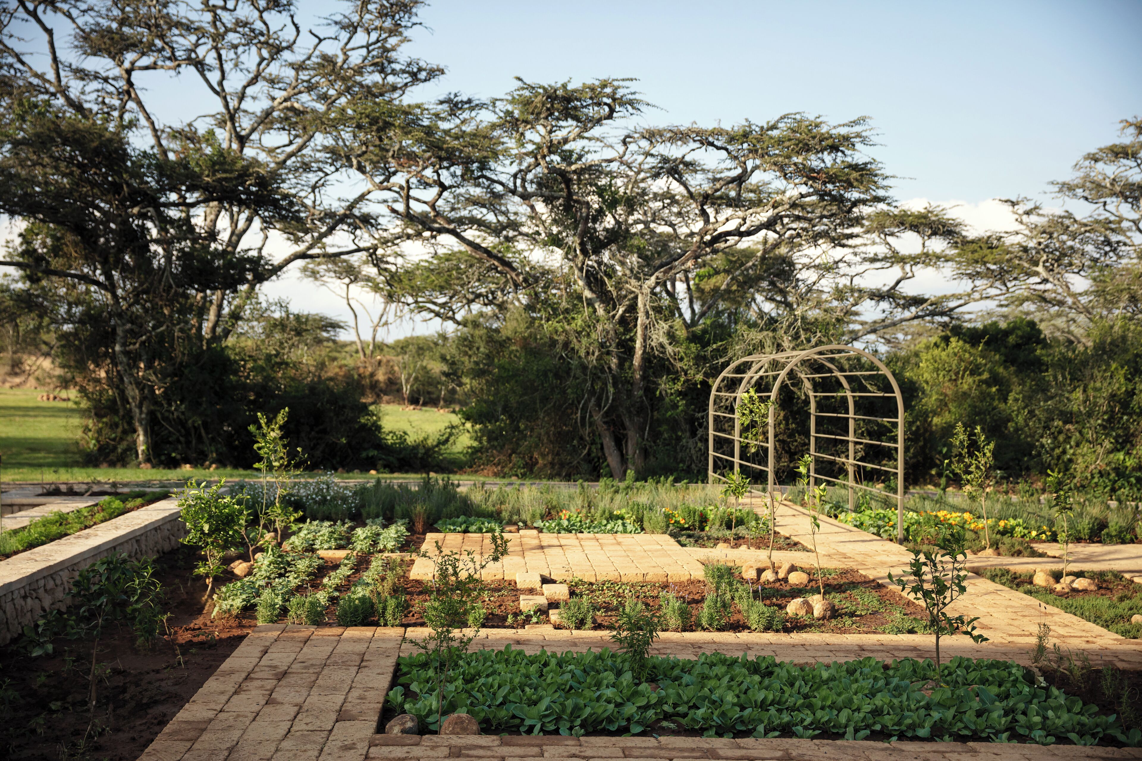 Un jardín con un sendero de ladrillo, una estructura de celosía metálica y diversas plantas.