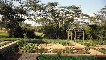 Un jardín con un sendero de ladrillo, una estructura de celosía metálica y diversas plantas.