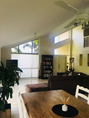 TV, Netflix, DVD player, toys