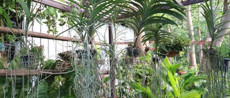 Literie de qualité supérieure, surmatelas, rideaux occultants