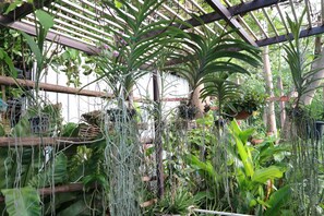 Baan Klang Nam