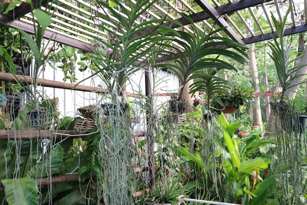 Baan Klang Nam | Sängtillbehör av högsta kvalitet och bäddmadrasser