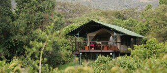 Sekenani Camp
