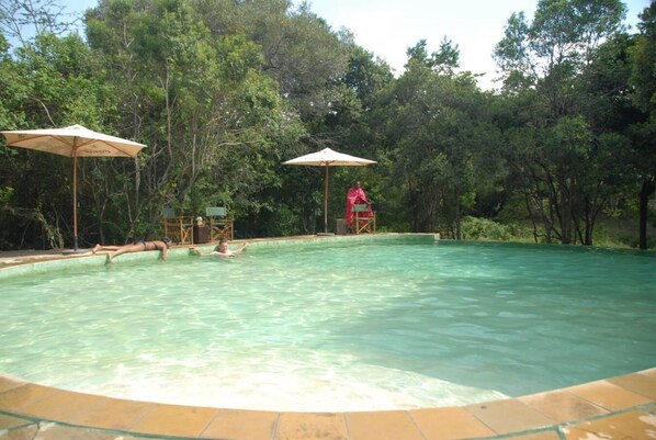 Alberca al aire libre, acceso de 10:00 a 22:00, y camastros 