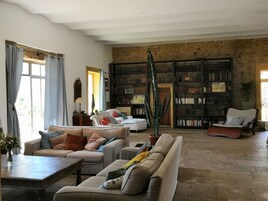 Un salón amplio con una estantería grande, un conjunto de sofás cómodos y una planta de cactus.