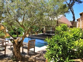 Zona de piscina con sillas y mesa de madera, rodeada de follaje y un árbol.