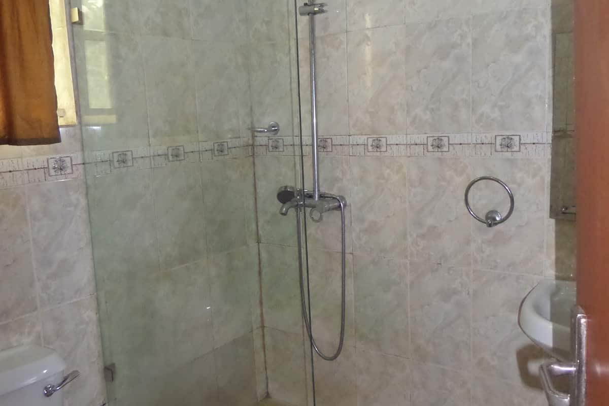 premium room, 1 double bed | bathroom | shower, rainfall showerhead, free toiletries, towels