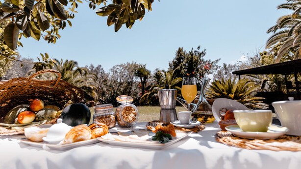 Un desayuno al aire libre con diversas opciones de comida y bebidas sobre una mesa, rodeado de abundante vegetación.