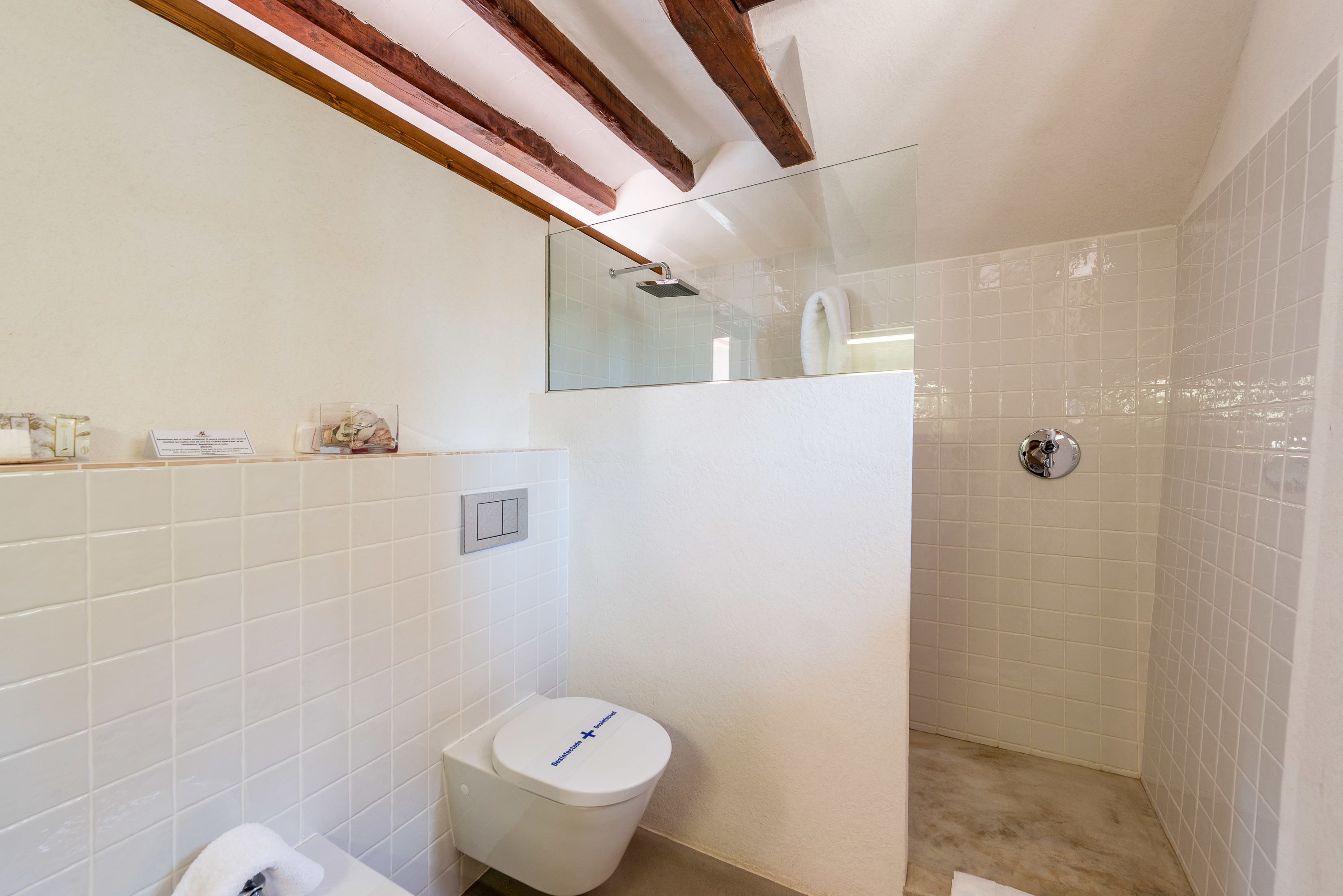A bathroom with a toilet, a shower, and a glass-enclosed shower area.